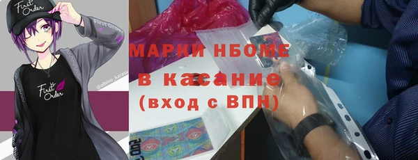 твердый Козельск