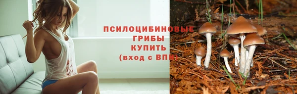 твердый Козельск