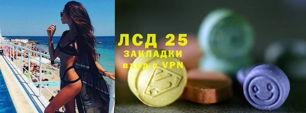 твердый Козельск