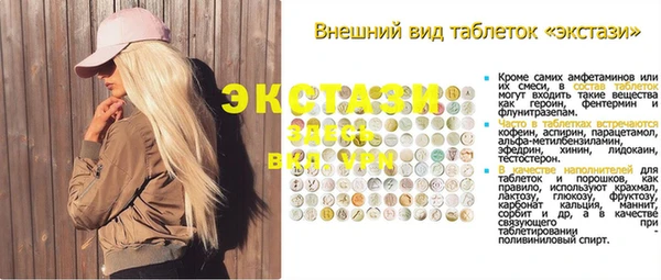 твердый Козельск
