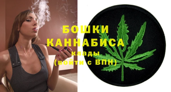 твердый Козельск