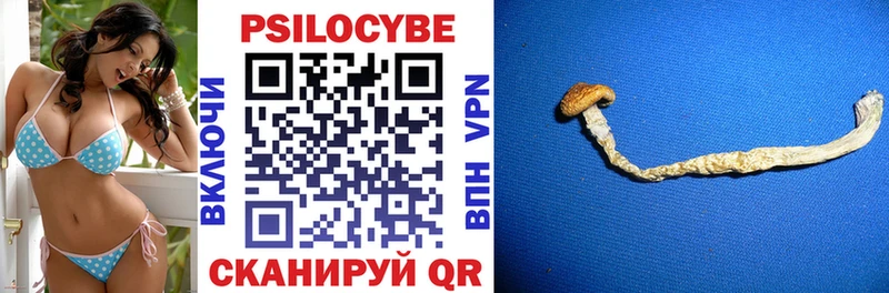Галлюциногенные грибы MAGIC MUSHROOMS  Купить  Берёзовка 